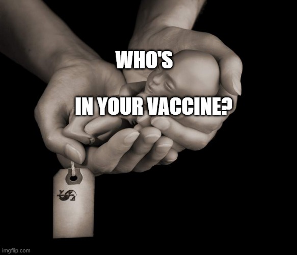 Fetus For Sale | WHO'S                  IN YOUR VACCINE? | image tagged in fetus for sale | made w/ Imgflip meme maker