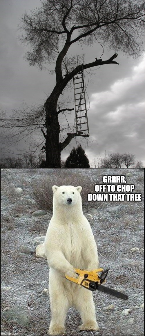 Ladder all the way on that tree | GRRRR, OFF TO CHOP DOWN THAT TREE | image tagged in chainsaw polar bear,ladder,ladders,you had one job,memes,tree | made w/ Imgflip meme maker