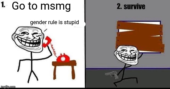 summary of what happened | Go to msmg; gender rule is stupid | made w/ Imgflip meme maker