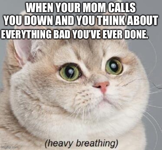 Heavy Breathing Cat | WHEN YOUR MOM CALLS YOU DOWN AND YOU THINK ABOUT; EVERYTHING BAD YOU’VE EVER DONE. | image tagged in memes,heavy breathing cat | made w/ Imgflip meme maker