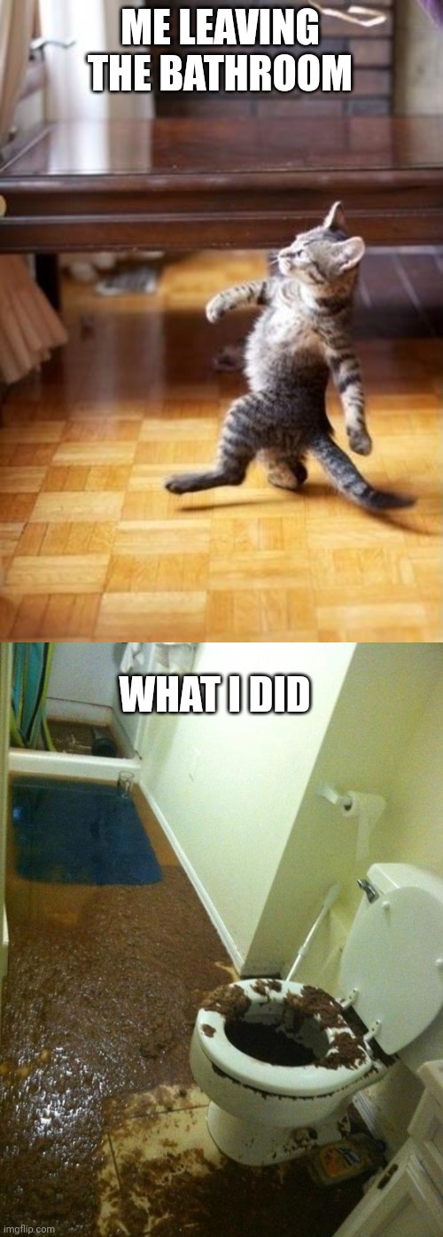 Have fun | ME LEAVING THE BATHROOM; WHAT I DID | image tagged in memes,cool cat stroll,poop | made w/ Imgflip meme maker
