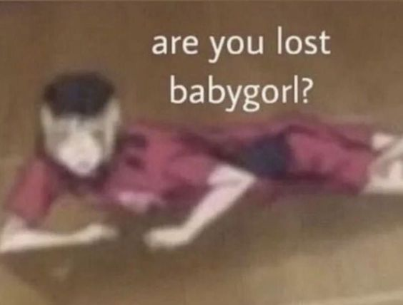 High Quality are you lost babygorl Blank Meme Template