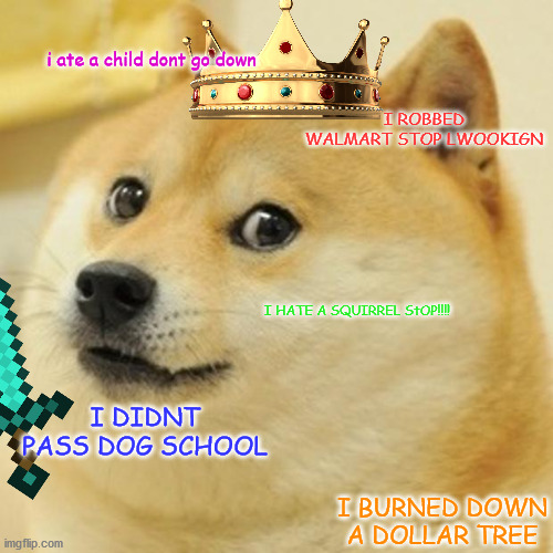 Doge Meme | i ate a child dont go down; I ROBBED WALMART STOP LWOOKIGN; I HATE A SQUIRREL StOP!!!! I DIDNT PASS DOG SCHOOL; I BURNED DOWN A DOLLAR TREE | image tagged in memes,doge | made w/ Imgflip meme maker