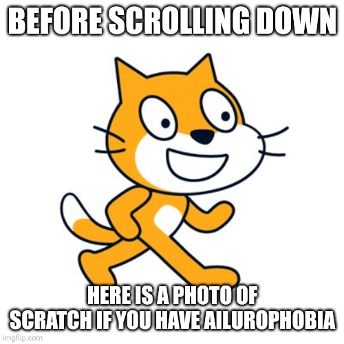 Scratch cat | BEFORE SCROLLING DOWN; HERE IS A PHOTO OF SCRATCH IF YOU HAVE AILUROPHOBIA | image tagged in scratch cat | made w/ Imgflip meme maker