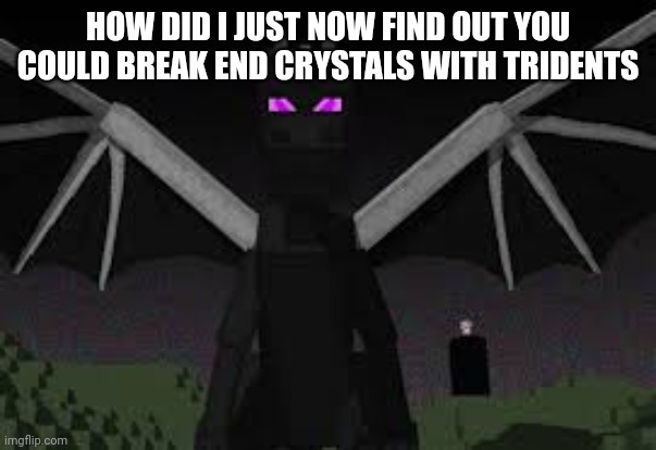 Ender dragon | HOW DID I JUST NOW FIND OUT YOU COULD BREAK END CRYSTALS WITH TRIDENTS | image tagged in ender dragon | made w/ Imgflip meme maker