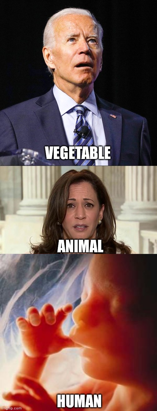 The three divisions of life... | VEGETABLE; ANIMAL; HUMAN | image tagged in joe biden,kamala harris,fetus,let's go brandon,fjb,protect the unborn | made w/ Imgflip meme maker