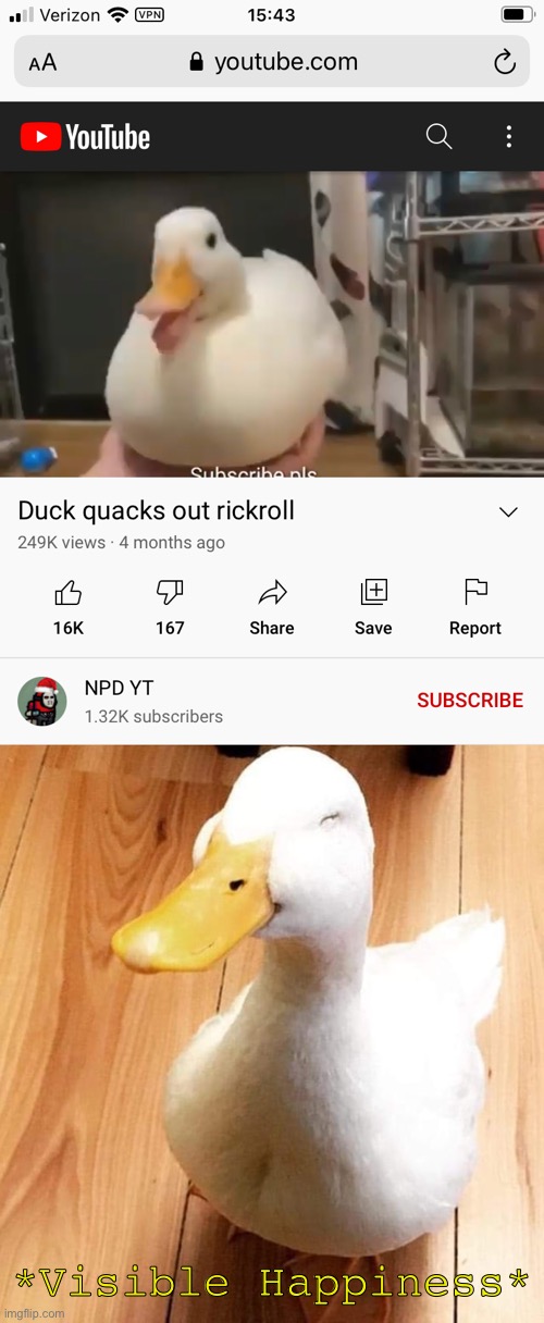 Rickroll but duck | *Visible Happiness* | image tagged in smile duck,rickroll,not really a rickroll | made w/ Imgflip meme maker