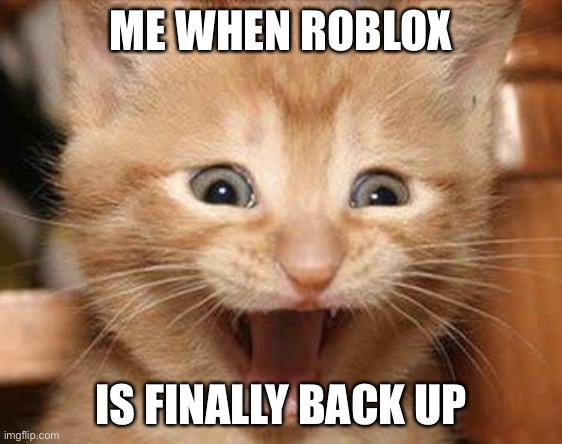 Excited Cat | ME WHEN ROBLOX; IS FINALLY BACK UP | image tagged in memes,excited cat,roblox meme,roblox | made w/ Imgflip meme maker