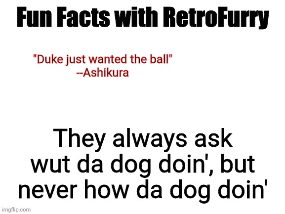 Fun Facts with RetroFurry | "Duke just wanted the ball"
--Ashikura; They always ask wut da dog doin', but never how da dog doin' | image tagged in fun facts with retrofurry | made w/ Imgflip meme maker