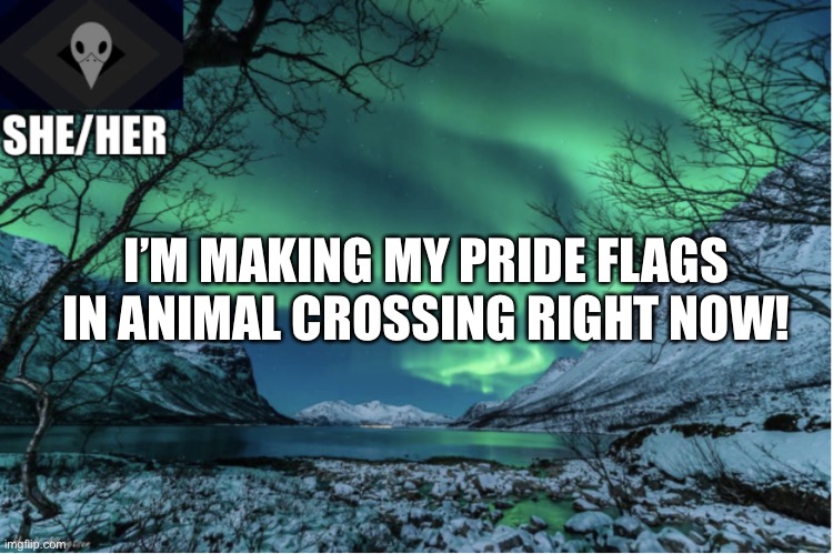 Northern Lights Termcollector Template | I’M MAKING MY PRIDE FLAGS IN ANIMAL CROSSING RIGHT NOW! | image tagged in northern lights termcollector template | made w/ Imgflip meme maker