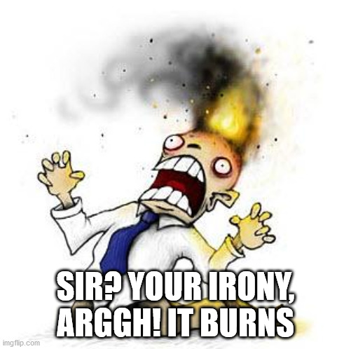 The Irony It Burns!!! | SIR? YOUR IRONY, ARGGH! IT BURNS | image tagged in the irony it burns | made w/ Imgflip meme maker