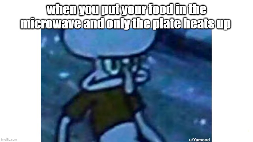 when you put your food in the microwave and only the plate heats up | image tagged in mad | made w/ Imgflip meme maker