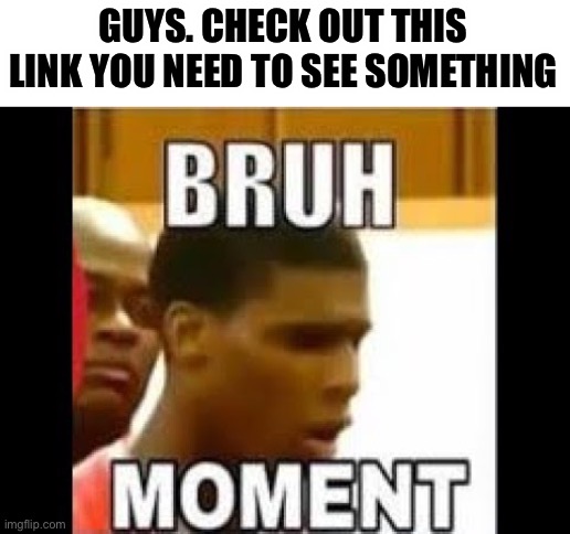 Link in comments | GUYS. CHECK OUT THIS LINK YOU NEED TO SEE SOMETHING | image tagged in bruh moment | made w/ Imgflip meme maker