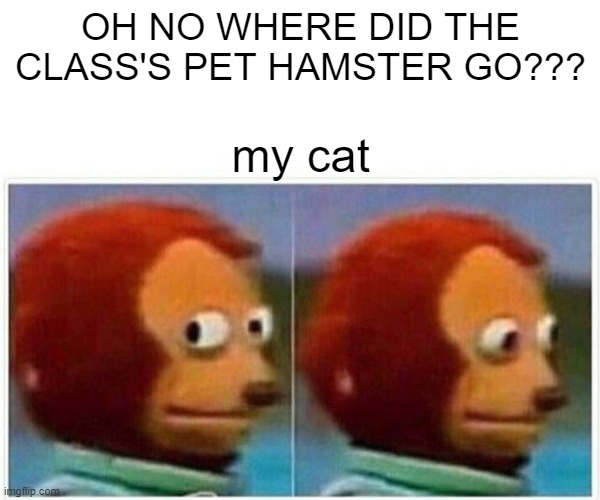 Monkey Puppet Meme | OH NO WHERE DID THE CLASS'S PET HAMSTER GO??? my cat | image tagged in memes,monkey puppet,cats,tragedy | made w/ Imgflip meme maker