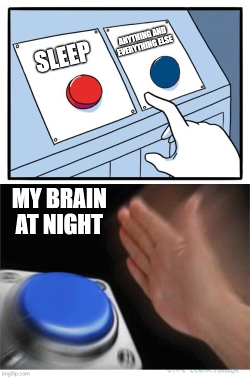 pls help me |  ANYTHING AND EVERYTHING ELSE; SLEEP; MY BRAIN AT NIGHT | image tagged in two buttons 1 blue,sleep,distraction,help me,brains | made w/ Imgflip meme maker
