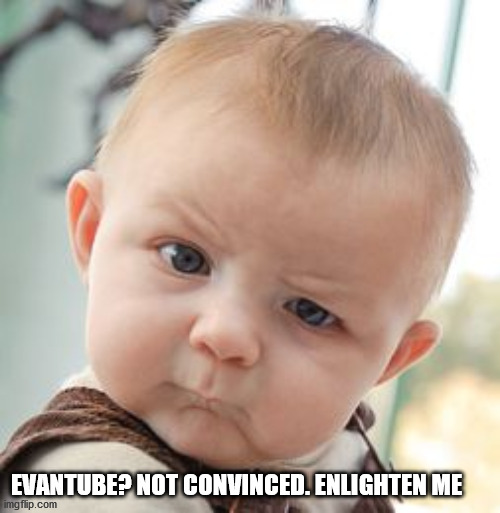 Skeptical Baby Meme | EVANTUBE? NOT CONVINCED. ENLIGHTEN ME | image tagged in memes,skeptical baby | made w/ Imgflip meme maker