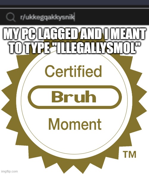 MY PC LAGGED AND I MEANT TO TYPE ''ILLEGALLYSMOL'' | image tagged in certified bruh moment | made w/ Imgflip meme maker