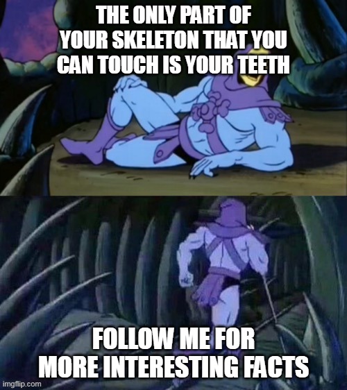 Skeletor disturbing facts | THE ONLY PART OF YOUR SKELETON THAT YOU CAN TOUCH IS YOUR TEETH; FOLLOW ME FOR MORE INTERESTING FACTS | image tagged in skeletor disturbing facts | made w/ Imgflip meme maker
