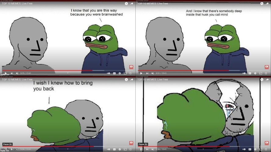 I Wish I Knew How To Bring You Back | image tagged in pepe,npc,brainwashed | made w/ Imgflip meme maker
