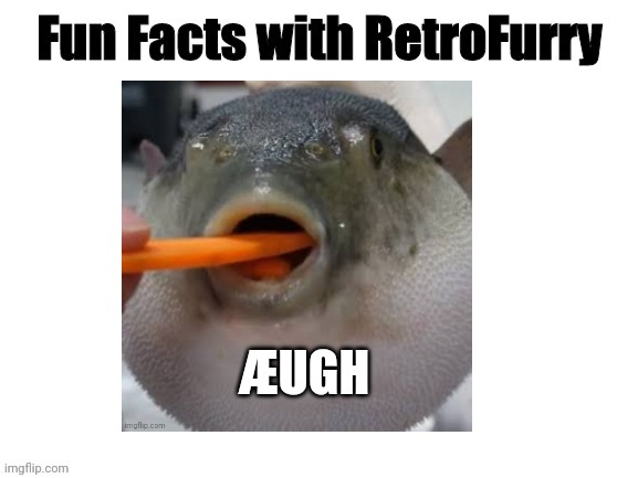 æugh | ÆUGH | made w/ Imgflip meme maker