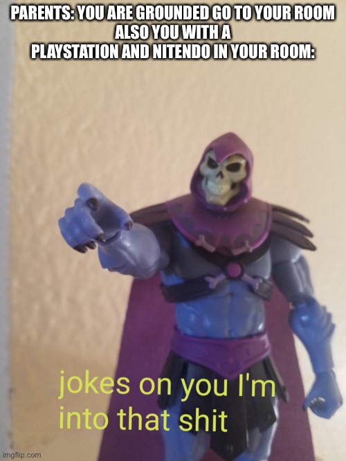 Skeletor action figure jokes on you I'm into that | PARENTS: YOU ARE GROUNDED GO TO YOUR ROOM
ALSO YOU WITH A PLAYSTATION AND NITENDO IN YOUR ROOM: | image tagged in skeletor action figure jokes on you i'm into that | made w/ Imgflip meme maker