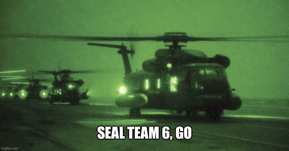 Seal Team 6 - GO! | SEAL TEAM 6, GO | image tagged in seal team 6 - go | made w/ Imgflip meme maker
