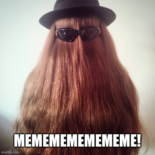 cousin it | MEMEMEMEMEMEME! | image tagged in cousin it | made w/ Imgflip meme maker
