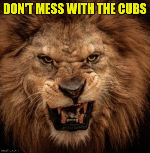 DON'T MESS WITH THE CUBS | made w/ Imgflip meme maker