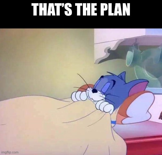 Tom sleeping | THAT’S THE PLAN | image tagged in tom sleeping | made w/ Imgflip meme maker