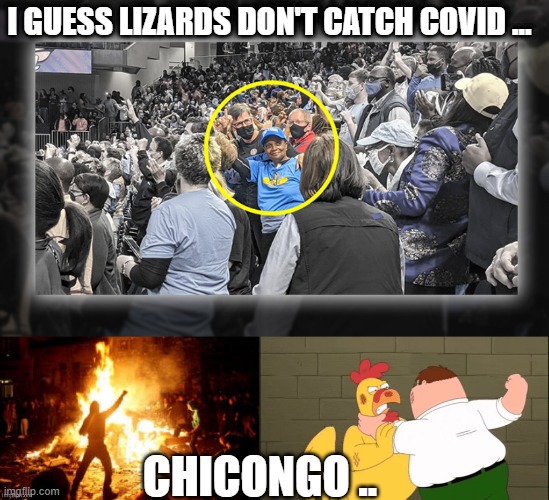 Serpent | I GUESS LIZARDS DON'T CATCH COVID ... CHICONGO .. | image tagged in evil | made w/ Imgflip meme maker