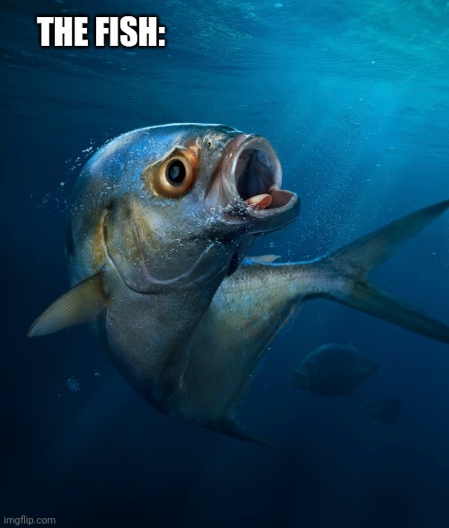 THE FISH: | made w/ Imgflip meme maker