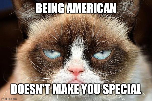 Grumpy Cat Not Amused | BEING AMERICAN; DOESN'T MAKE YOU SPECIAL | image tagged in memes,grumpy cat not amused,grumpy cat | made w/ Imgflip meme maker