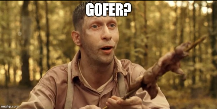 #Gofer | GOFER? | image tagged in funny | made w/ Imgflip meme maker