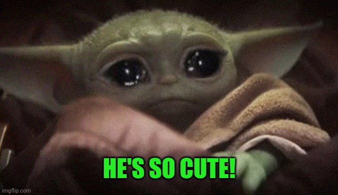 Crying Baby Yoda | HE'S SO CUTE! | image tagged in crying baby yoda | made w/ Imgflip meme maker