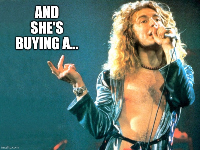 robert plant | AND SHE'S BUYING A... | image tagged in robert plant | made w/ Imgflip meme maker