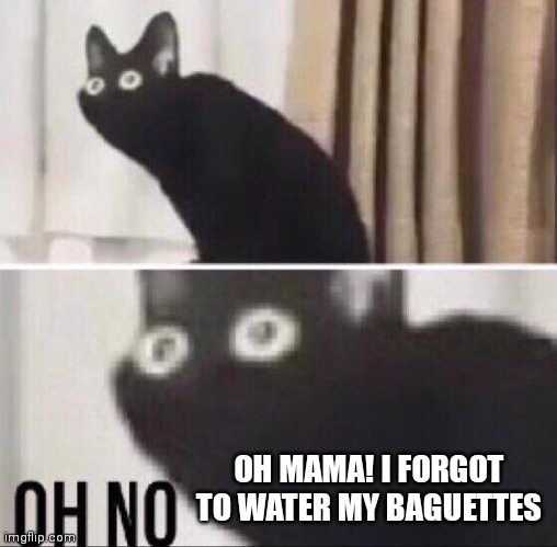 Oh no cat | OH MAMA! I FORGOT TO WATER MY BAGUETTES | image tagged in oh no cat | made w/ Imgflip meme maker