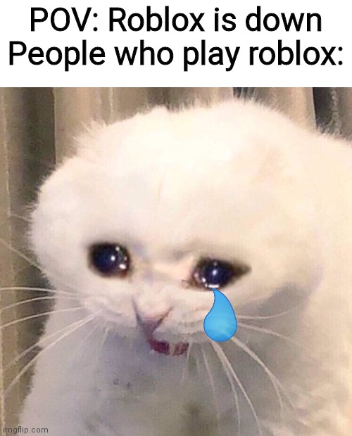 Oh no :( We hope roblox gets back up soon at some point |  POV: Roblox is down
People who play roblox: | image tagged in screaming kitten | made w/ Imgflip meme maker