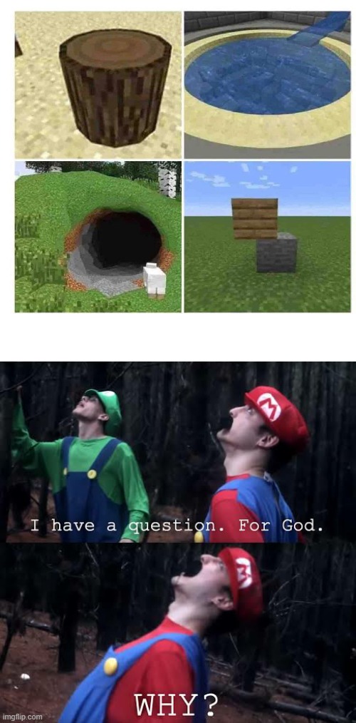 I have 1 question for god. WHY?! | image tagged in i have one question for god why,memes,lol,minecraft,cursed image,oh wow are you actually reading these tags | made w/ Imgflip meme maker