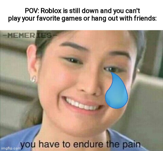 You have to endure the pain | POV: Roblox is still down and you can't play your favorite games or hang out with friends: | image tagged in you have to endure the pain | made w/ Imgflip meme maker