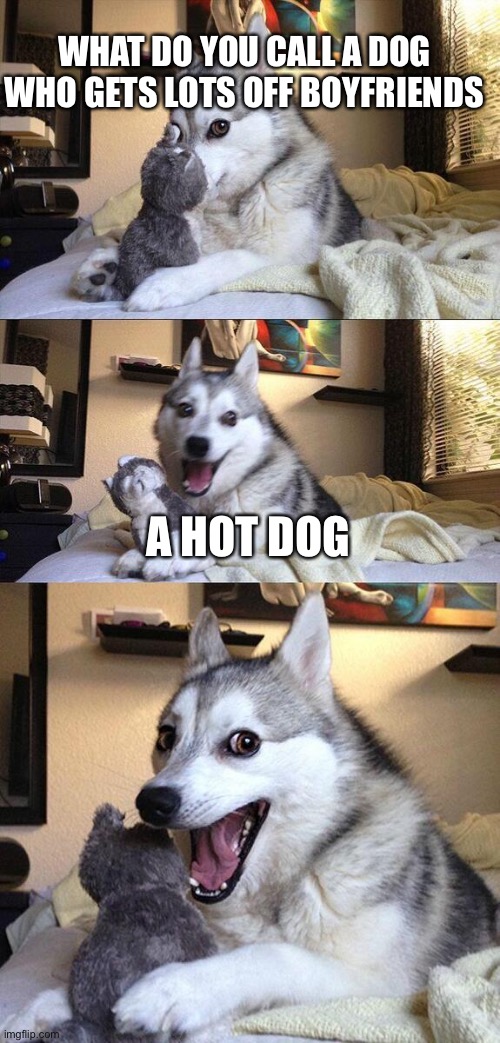 Bad Pun Dog | WHAT DO YOU CALL A DOG WHO GETS LOTS OFF BOYFRIENDS; A HOT DOG | image tagged in memes,bad pun dog | made w/ Imgflip meme maker