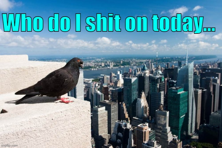 . | Who do I shit on today... | made w/ Imgflip meme maker
