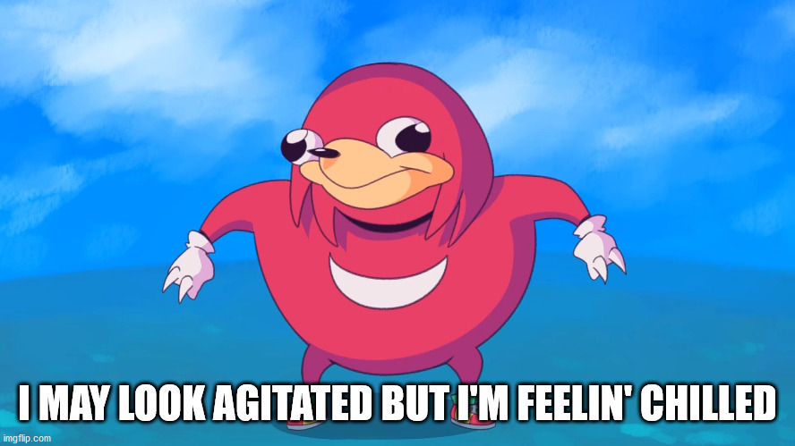 Uganda Knuckles | I MAY LOOK AGITATED BUT I'M FEELIN' CHILLED | image tagged in uganda knuckles | made w/ Imgflip meme maker