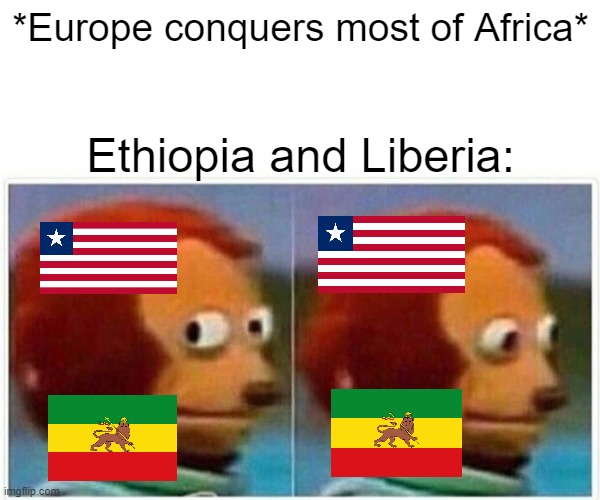 Country Slander p. 5 (WARNING: DARK HUMOR) | *Europe conquers most of Africa*; Ethiopia and Liberia: | image tagged in memes,monkey puppet | made w/ Imgflip meme maker