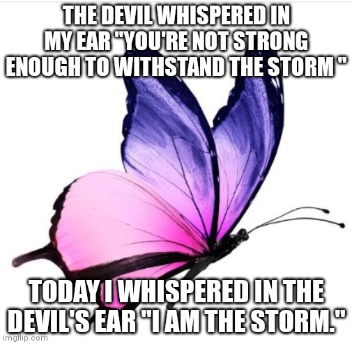 Butterfly | THE DEVIL WHISPERED IN MY EAR "YOU'RE NOT STRONG ENOUGH TO WITHSTAND THE STORM "; TODAY I WHISPERED IN THE DEVIL'S EAR "I AM THE STORM." | image tagged in butterfly | made w/ Imgflip meme maker