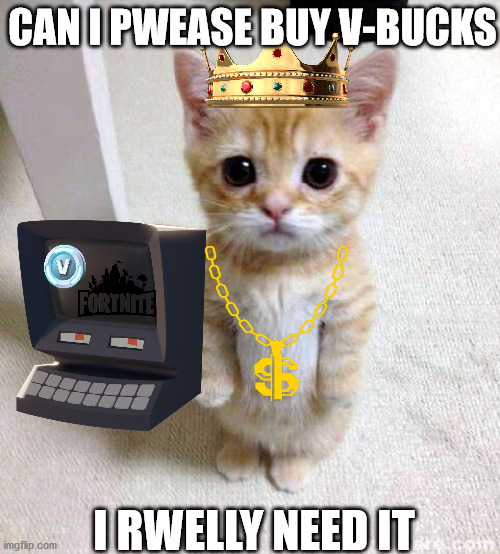 cat needs v-bucks | CAN I PWEASE BUY V-BUCKS; I RWELLY NEED IT | image tagged in memes,cute cat,fortnite | made w/ Imgflip meme maker