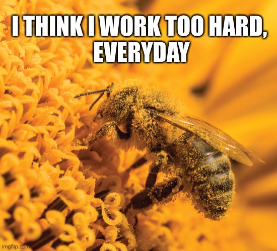I THINK I WORK TOO HARD, 
EVERYDAY | image tagged in tired,busy | made w/ Imgflip meme maker