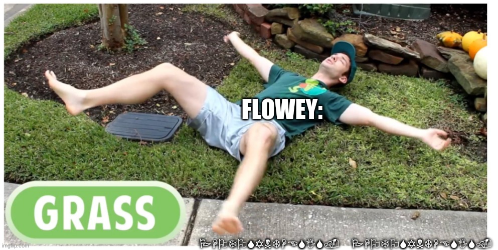 Photosynthesis | FLOWEY:; PHOTOSYNTHESIS. PHOTOSYNTHESIS. | image tagged in photosynthesis | made w/ Imgflip meme maker