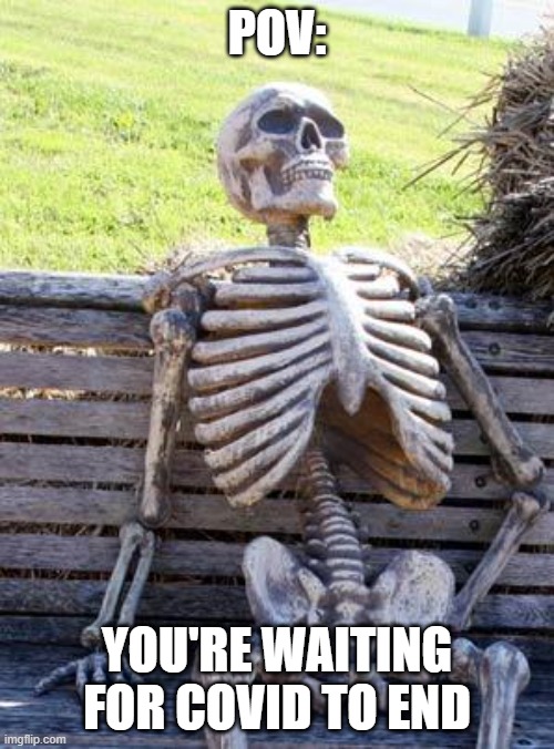 Rip | POV:; YOU'RE WAITING FOR COVID TO END | image tagged in memes,waiting skeleton | made w/ Imgflip meme maker