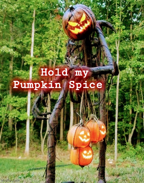 Hold my
 Pumpkin Spice | made w/ Imgflip meme maker