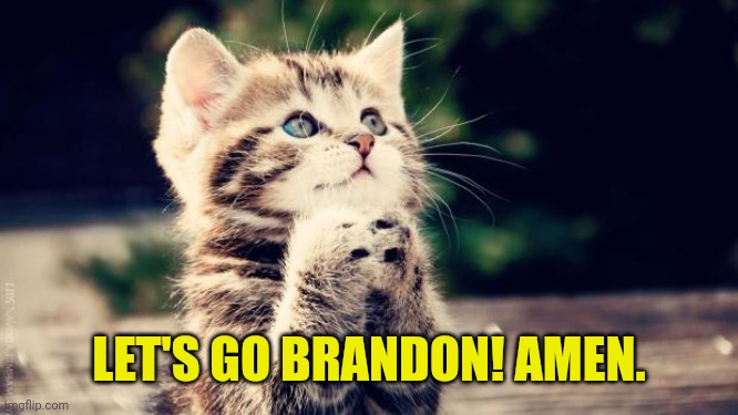 Praying cat | LET'S GO BRANDON! AMEN. | image tagged in praying cat | made w/ Imgflip meme maker